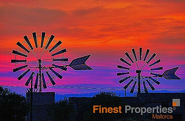 Finca hotel with 13 rooms for sale