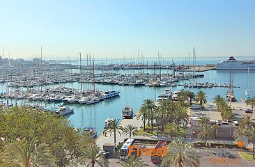 5 shell floors on the Paseo Maritimo, Palma de Mallorca, for sale