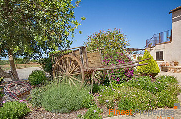 Agro Turismo finca with 4 studios / apartments plus house for owner near Campos for sale