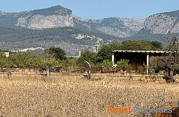 47.000m² plot for new villa near Inca for sale