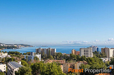 New, modern single-family villa for sale in Palmanova